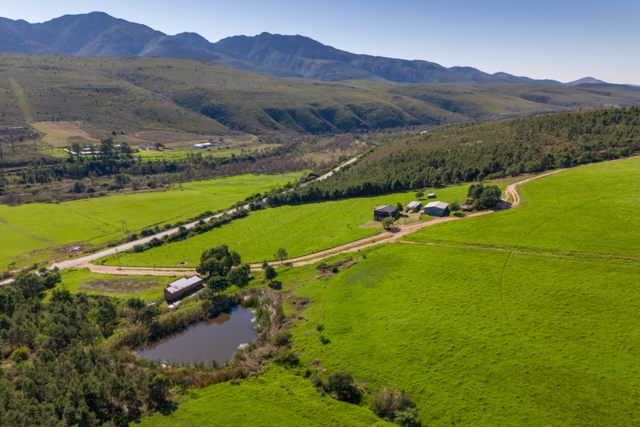 0 Bedroom Property for Sale in Kareedouw Eastern Cape